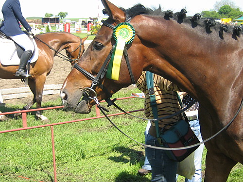 champion