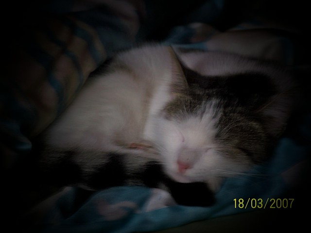 Dobranoc:)