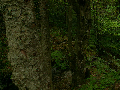 Dolina Biaego