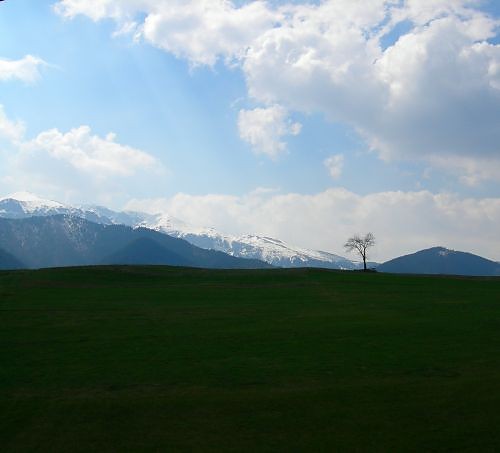 ...niekochana...