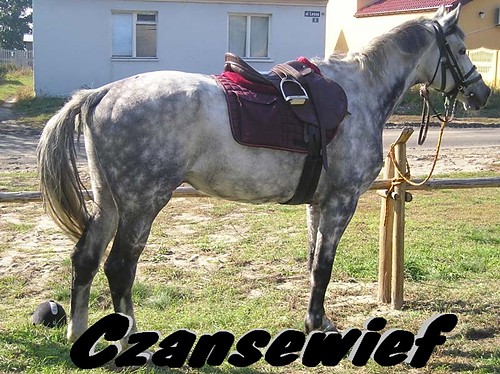 Czansewief :) 