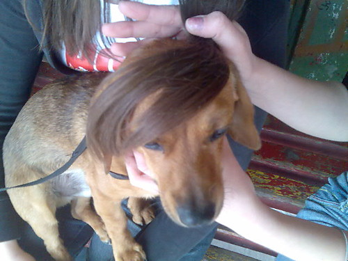 Joseph =D