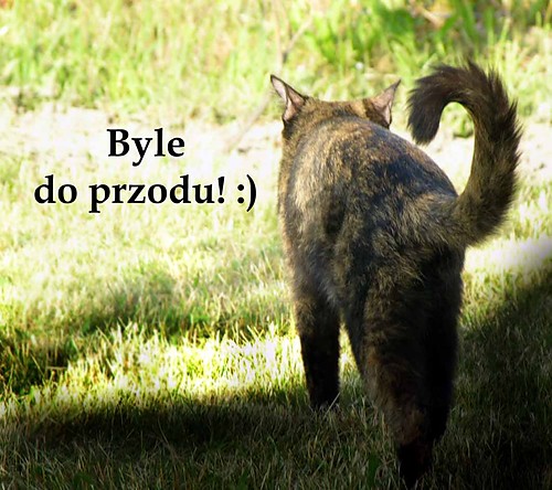 jak jest?!