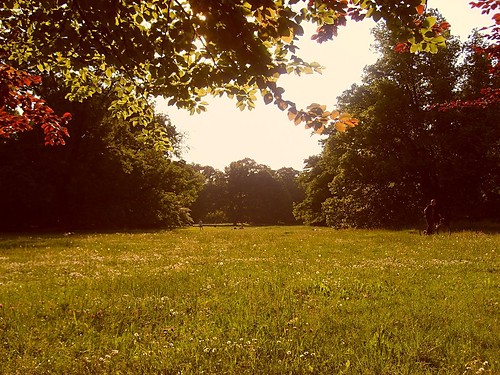 park poludniowy :)
