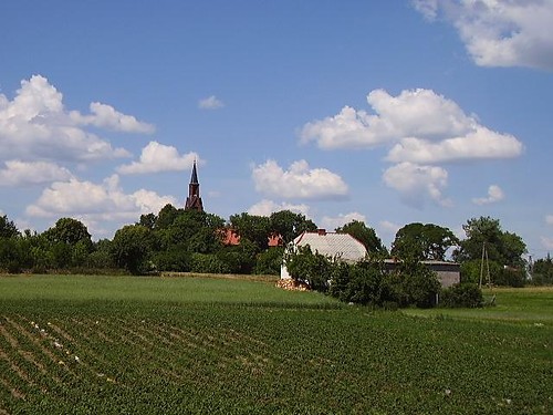 Koci