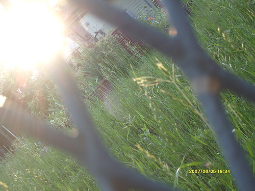 przez kraty =D