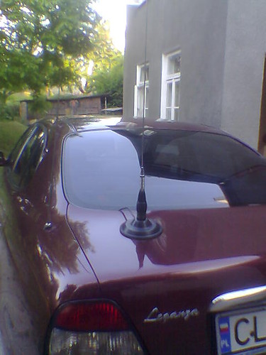 Antenka w Mojej Leganzie 