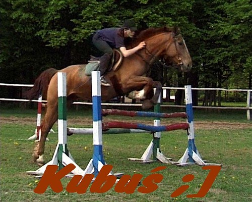 Kubu .. ;]