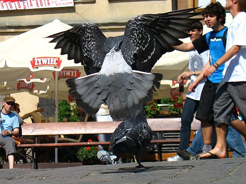 wycig...gobki :p