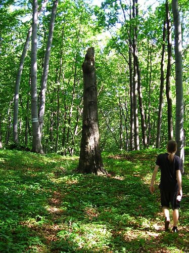 Menhir