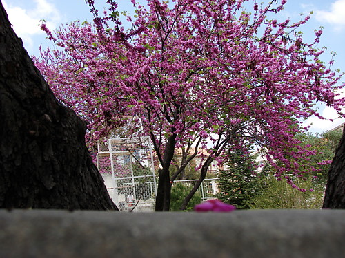 Lefkara 2007