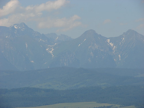 PIENINY C.D.