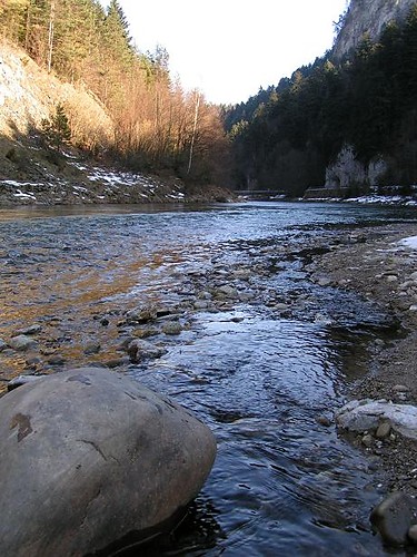Kamie