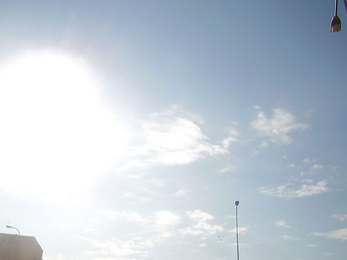 sonce.