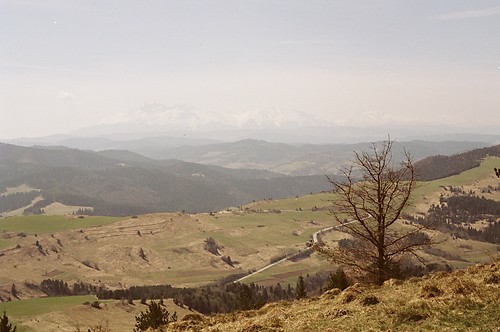 Krpak