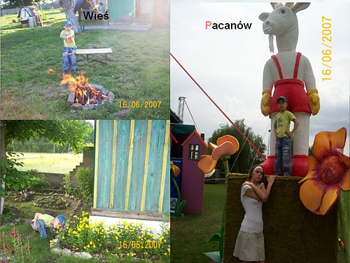 Wie../Pacanw..