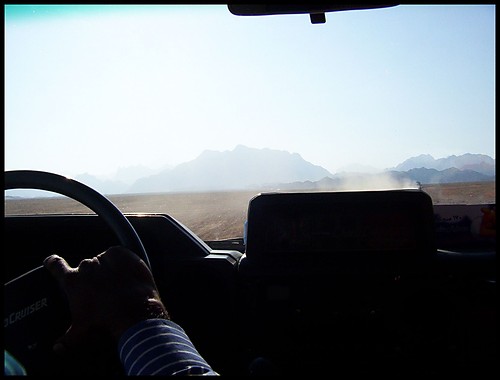 safari.