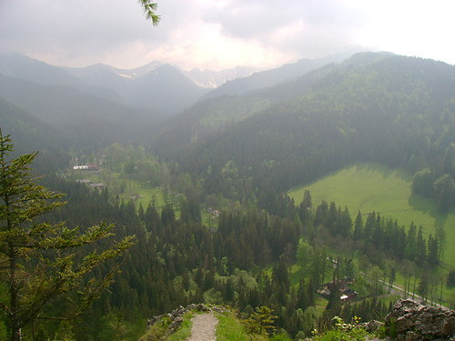 Widok
