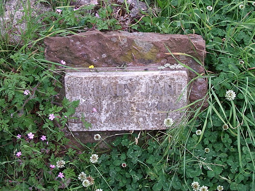 gwiazda