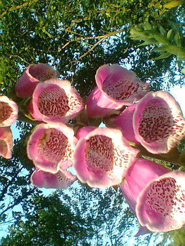 PiNk ppIInnKK pink