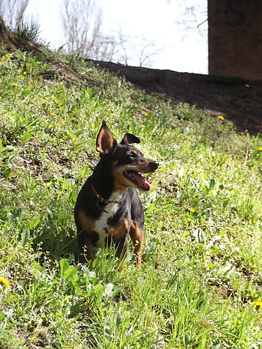 Kuba.