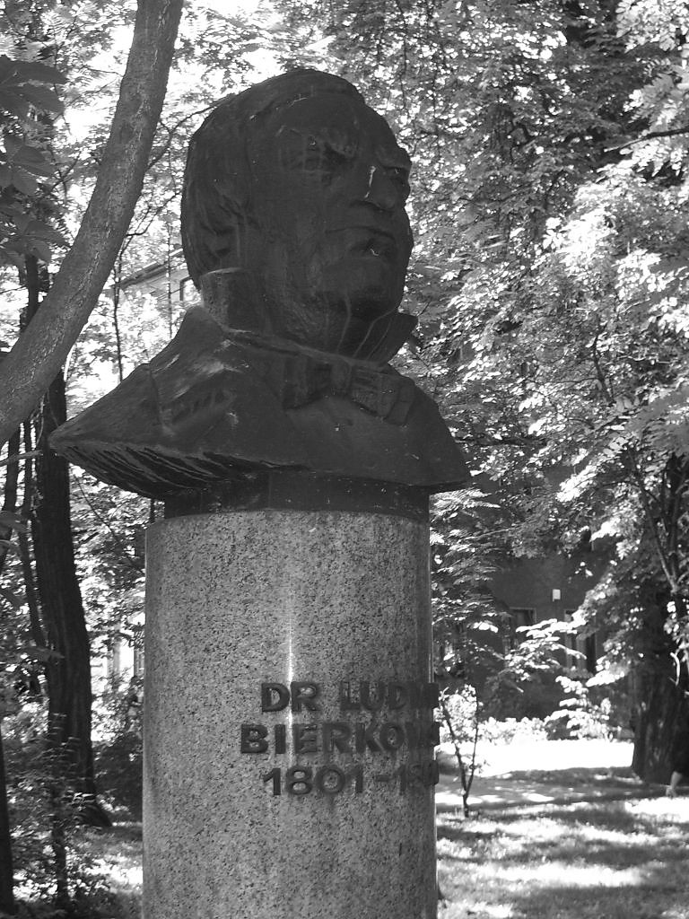 Ludwik Bierkowski, cz. 1
