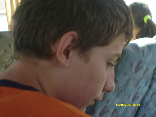 Autobus
