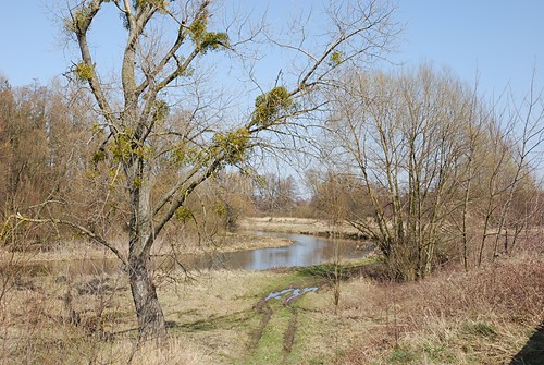 wspomnienie