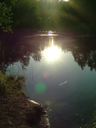 Lubczyna part an.