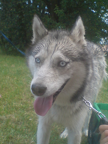 Nasza Lazy:p