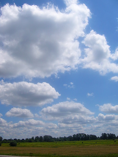 blue..