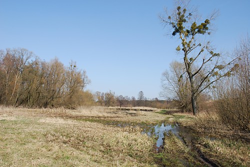 wreszcie