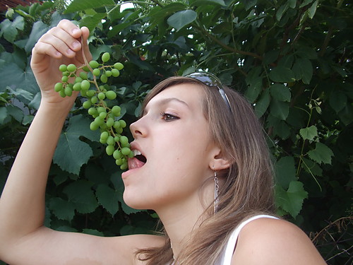 Winogronko xD