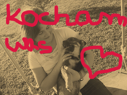 Kocham was