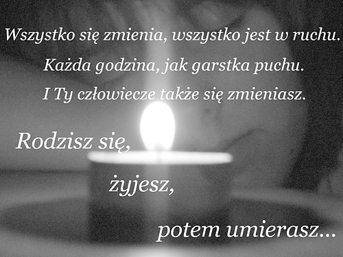 Garstka puchu...