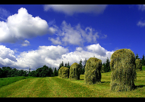 Wakacje, Lato