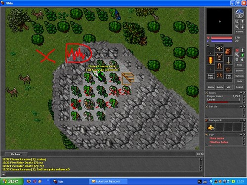 tibia