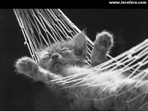^^KoCIak^^