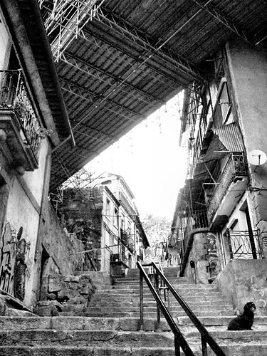 ycie pod mostem. Porto.