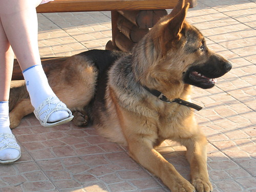 maks