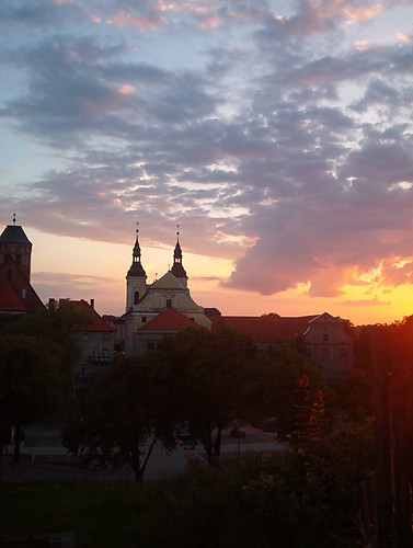 Kociki 