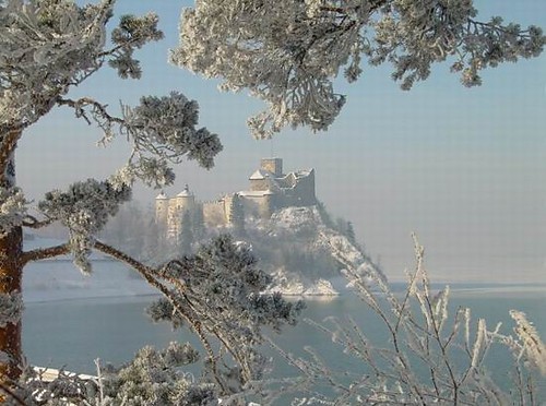 Wyrocznia`