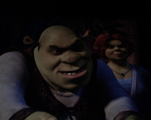 Shrek i Fiona