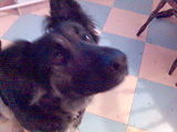 Neska