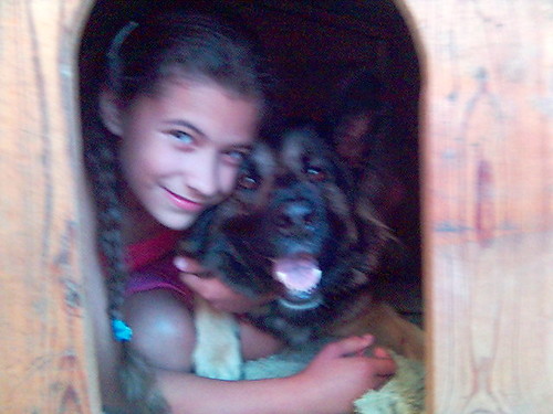 W budzie