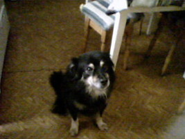 MJ PiEsIo:):)