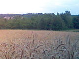 KRAJOBRAZ