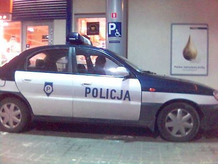 Pies