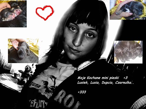 pieski nev moje..xD