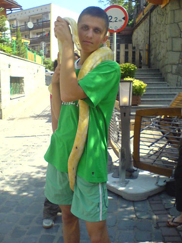 :P:P Pytonek i ja:P